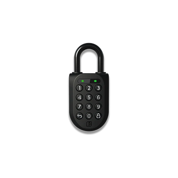 Padlock 2